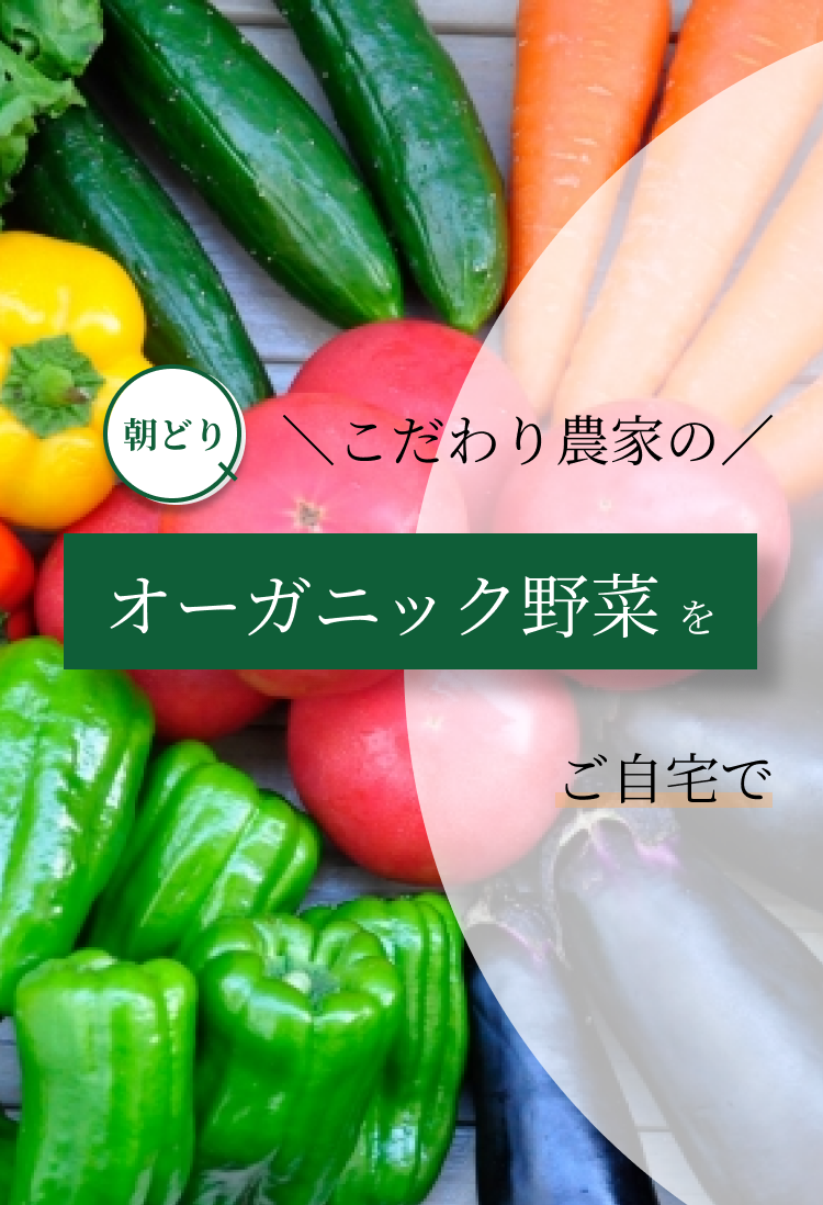 こだわり農家の朝どりオーガニック野菜をご自宅で