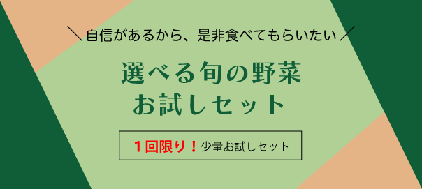 お試しセット